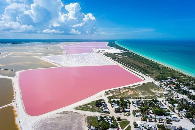 Las Coloradas Tour! Boat Ride, Lunch & Rio Lagartos from Cancun - Early Start From Cancun: The 6:30am Part You Should Not Ignore