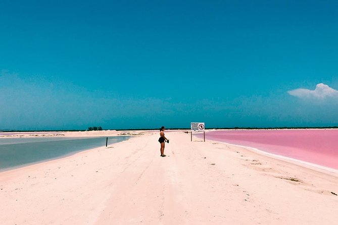 Las Coloradas Tour! Boat Ride, Lunch & Rio Lagartos from Cancun - The Mayan Mud Bath on the Hidden Beach: Messy, Simple, and Actually Useful