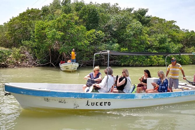 Las Coloradas Tour! Boat Ride, Lunch & Rio Lagartos from Cancun - Price and Logistics: Budget for the Government Fee and Be Ready for the Ride