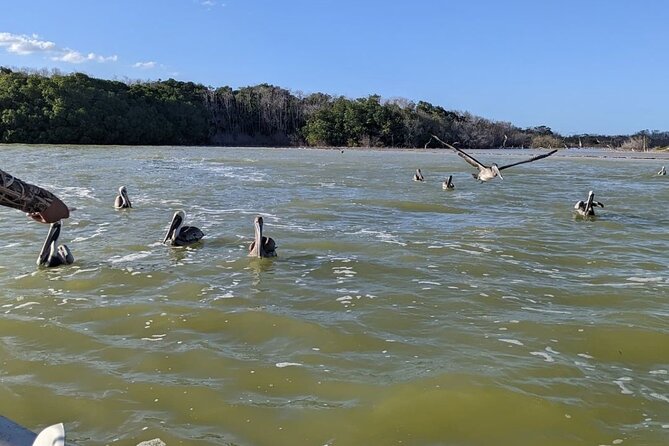 Las Coloradas Tour! Boat Ride, Lunch & Rio Lagartos from Cancun - Who This Tour Fits Best (And Who Might Want a Different Option)