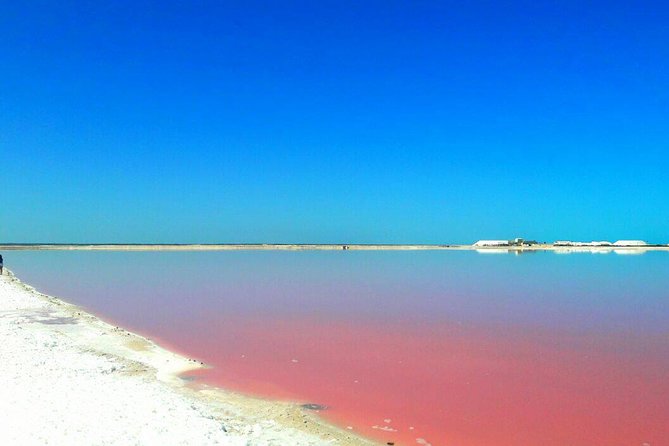 Las Coloradas Tour from Cancun and Playa del Carmen - A full-day nature route starting at 6:30 a.m.
