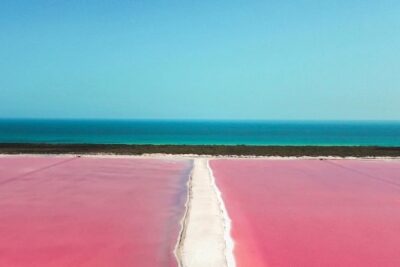 Las Coloradas Tour from Cancun and Playa del Carmen - Río Lagartos boat ride: flamingos, crocodiles, and serious birding
