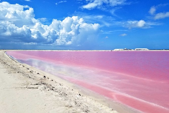 Las Coloradas Tour from Cancun and Playa del Carmen - Crocodile conservation stop: more than a photo op