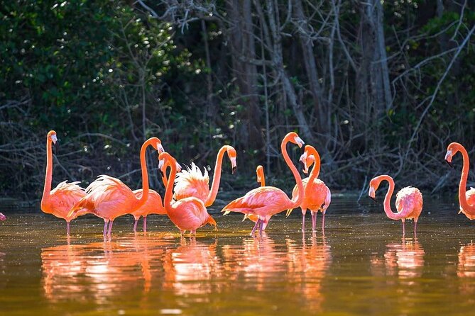 Las Coloradas Tour to Pink Lakes and Wildlife Wonders - Crocodile Farm Visit: What You Should Expect