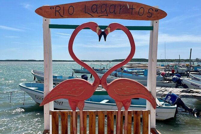 Las Coloradas Tour to Pink Lakes and Wildlife Wonders - Pickup Windows and Timing: How to Avoid a Day Trip Spiral