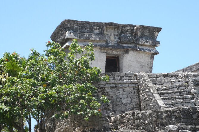 LDS Tour to Tulum Ruins + Cenote - Gran Cenote: Your 1-Hour Swim Stop and How to Prepare
