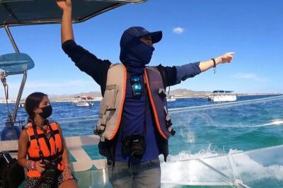 Live Cancun from our Transparent Boat - Caribbean Sea time and the reef visit
