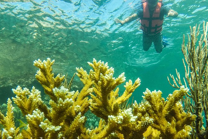 Local Fishing Plus Snorkeling Tour in Isla Mujeres - How the 4 hours actually play out on the water