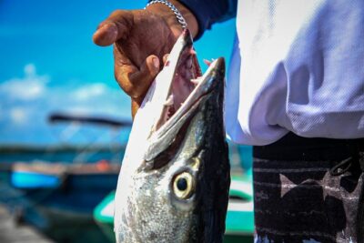 Local Fishing Plus Snorkeling Tour in Isla Mujeres - Snorkeling around Isla Mujeres: calmer reef time, more wildlife moments
