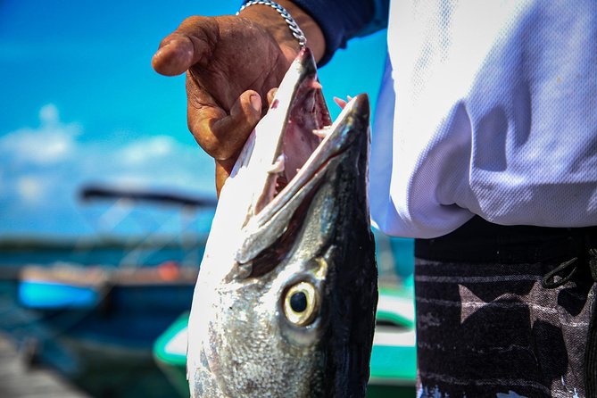 Local Fishing Plus Snorkeling Tour in Isla Mujeres - Snorkeling around Isla Mujeres: calmer reef time, more wildlife moments