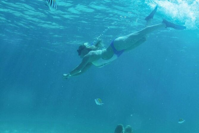 Luxury Catamaran Tour to Isla Mujeres with Transportation - Arrecife El Meco Snorkeling: Fish, Sculptures, and the Life Vest Rule