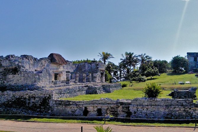 Luxury Tour in Tulum, Coba, Cenote and Playa del Carmen - Stop 2: Coba Ruins by Bike, Including the Climb at Nohoch Muul