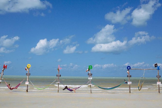 Magic Island Holbox! Experience From Cancun & Playa del Carmen - Isla de la Pasión: mangroves, nature, and a short reset