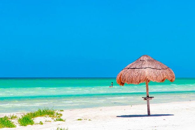 Magic Island Holbox! Experience From Cancun & Playa del Carmen - Isla Holbox free time: your chance to wander