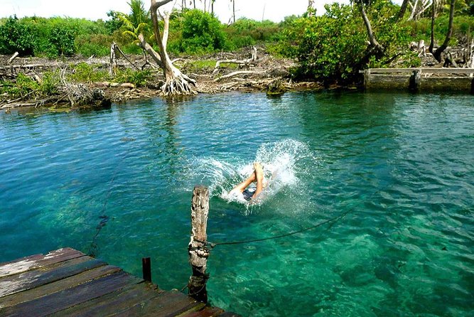 Magic Island Holbox! Experience From Cancun & Playa del Carmen - Punta Mosquito: shallow water and white sand