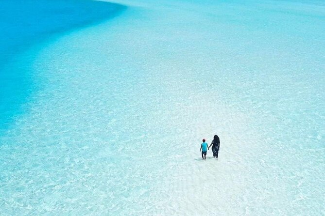 Magic Island Holbox! Experience From Cancun & Playa del Carmen - Getting there from Cancun and Playa: pickup points that matter