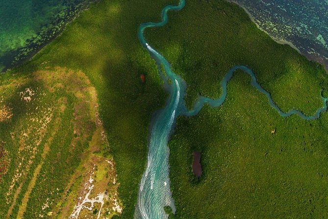 Mangrove and Lagoon Speed Boat Tour - Mangrove Canals, Hotel Zone Views, and Wildlife Chances