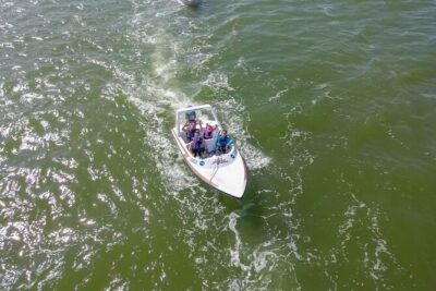 Mangrove and Lagoon Speed Boat Tour - Driving Lagoon Nichupte: The Hands-On Adrenaline