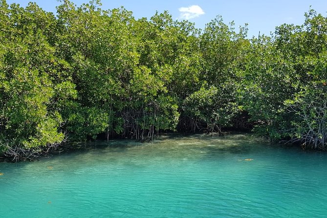Mangrove and Lagoon Speed Boat Tour - Snorkeling Gear, Showers, Lockers: The Practical Perks