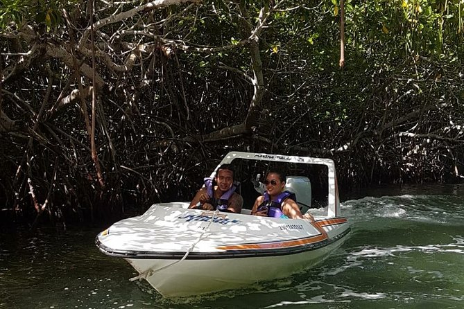 Mangrove and Lagoon Speed Boat Tour - Who Should Book Jungle Tour Barracuda (and Who Might Skip It)
