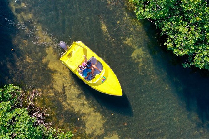 Mangrove Jungle Speedboat Experience - Mayan Coral Reef + Museo Subacuatico de Arte: why those stops fit together