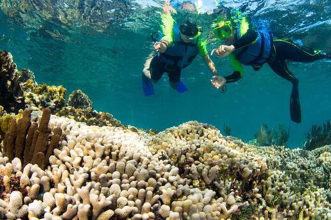 Mangrove Jungle Speedboat Experience - The return ride: you end where you start