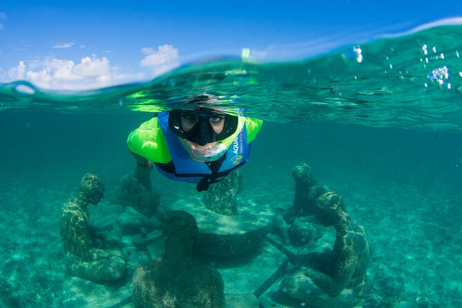 Mangrove Jungle Speedboat Experience - Who this tour suits best (and who should pass)