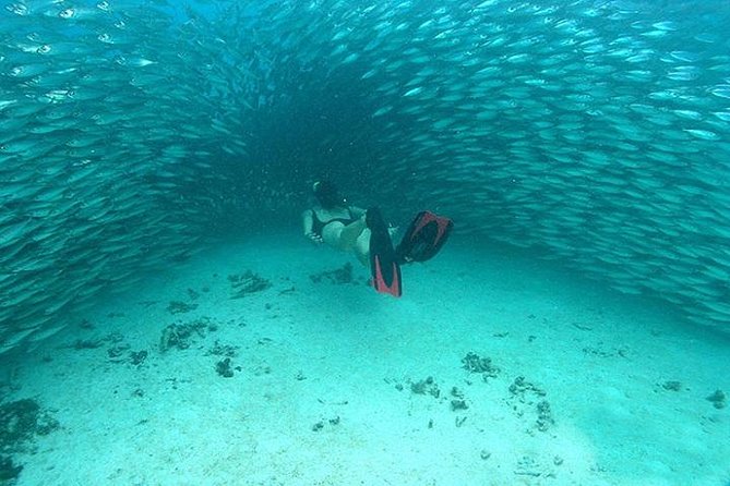 Mayan Adventure from Cancun - Lunch Included: Simple Fuel That Helps You Enjoy the Next Stop