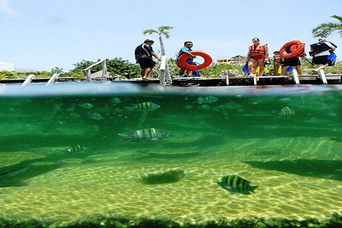 Mayan Adventure from Cancun - Snorkeling the Caribbean: Gear Up and Learn Before You Go In