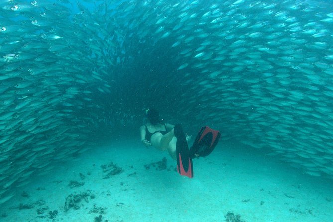 Mayan Adventure from Playa del Carmen - Snorkeling through Mayan underwater ecosystems: reef and sinkhole magic