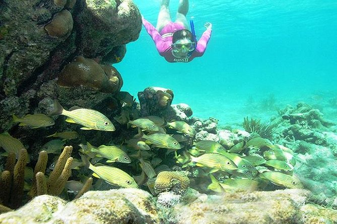 Mayan Adventure from Playa del Carmen - Value: why this tour can be worth it even if you’re paying for a group day