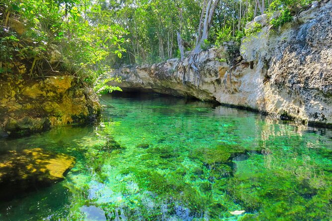Mayan Cenotes Experience with Mayan Ruins or Local Community - Cenote Caracol: snorkeling, clear water, and what to aim for