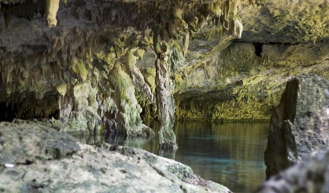 Mayan Ceremonial Night: Temazcal, Cenote Swim and Dinner from Playa del Carmen - Key Highlights You’ll Actually Care About