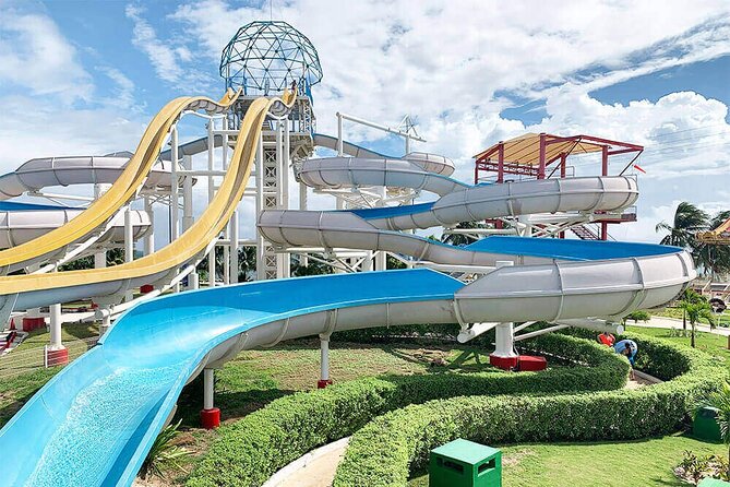 Meeting at the Dolphinarium - Practical expectations: what to do before, during, and after