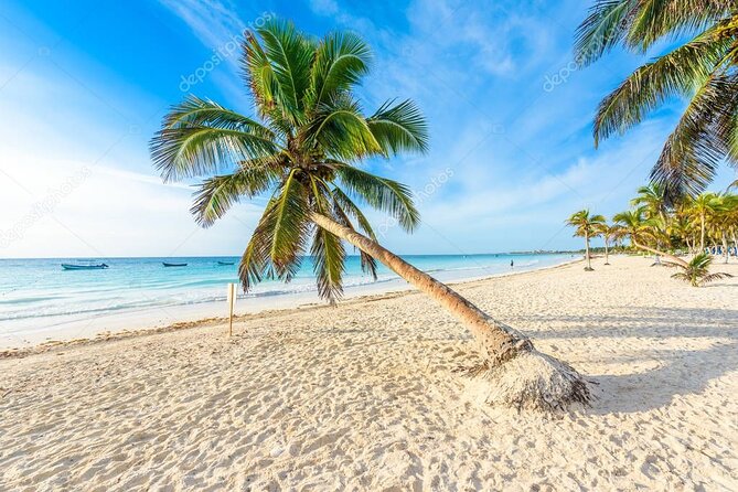 Mother Nature, Tulum and beach paradise with lunch - Playa Paraíso beach hour: the Eden-of-Tulum feel, minus the drama