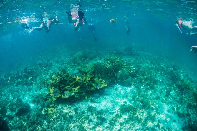 Mujeres Island Tour by Catamaran from Cancun City - Who should book this Isla Mujeres catamaran tour?
