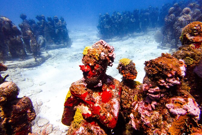 MUSA Museum and Colorful Reef 2 Tank Dive-Certified Divers - Tank two: Manchones Reef and the protected-area spotting game