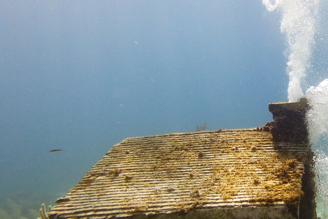 MUSA Museum and Colorful Reef 2 Tank Dive-Certified Divers - Boat ride, timing, and why the short travel can matter