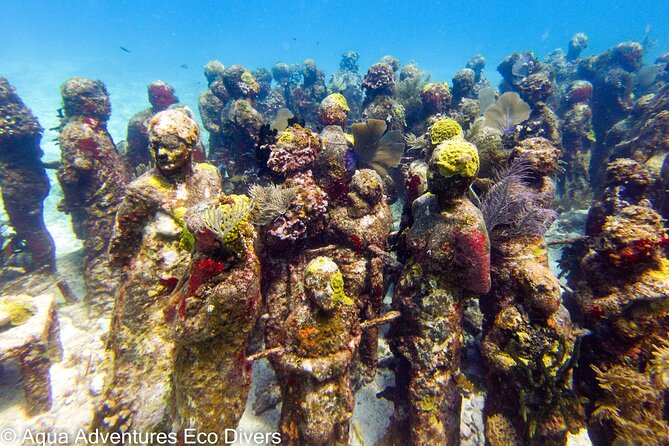 MUSA Museum and Colorful Reef 2 Tank Dive-Certified Divers - Gear, weights, and what you should confirm before you show up