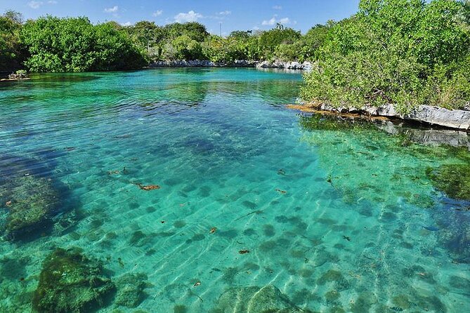 Natural Reserve of Sian Ka'an Tour ! - The natural pool swim: easy water time that feels like a gift