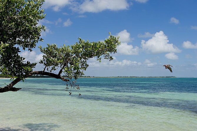 Natural Reserve of Sian Ka'an Tour ! - Roundtrip pickup and meeting points that can save your morning