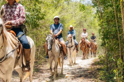 Nature Tour - Getting Started: Round-Trip Transport and Bilingual Guidance