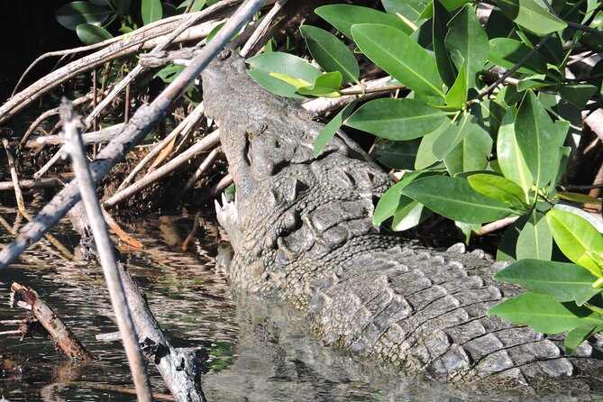 Nichupte Lagoon Wildlife Tour - Where to meet for a 5:00 pm sunset cruise
