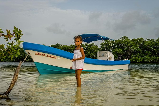 Nichupte Lagoon Wildlife Tour - What the guide adds (and why it changes the whole experience)