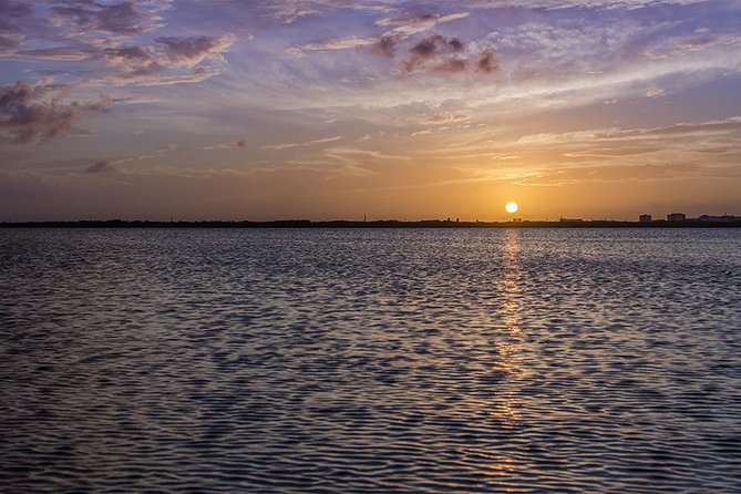 Nichupte Lagoon Wildlife Tour - What’s included for $95, and where the value shows up