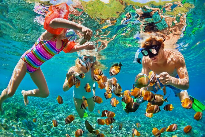 Nizuc Reef Snorkel Experience - Punta Nizuc Reef and the Underwater Museum sculptures