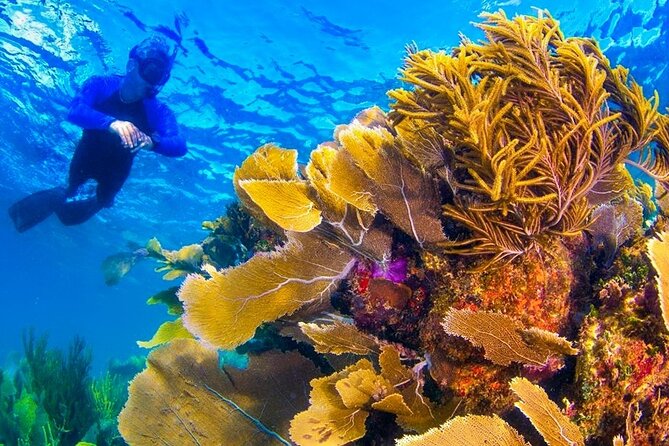 Nizuc Reef Snorkel Experience - What the snorkeling platform time is really like