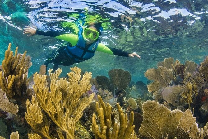 Nizuc Reef Snorkel Experience - Drinks on the platform: hydration without extra hassle