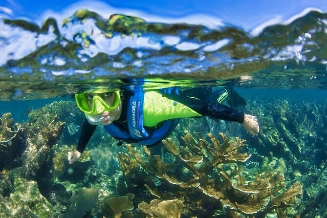 Nizuc Reef Snorkel Experience - Cruising the Nichupte Lagoon mangroves before you snorkel