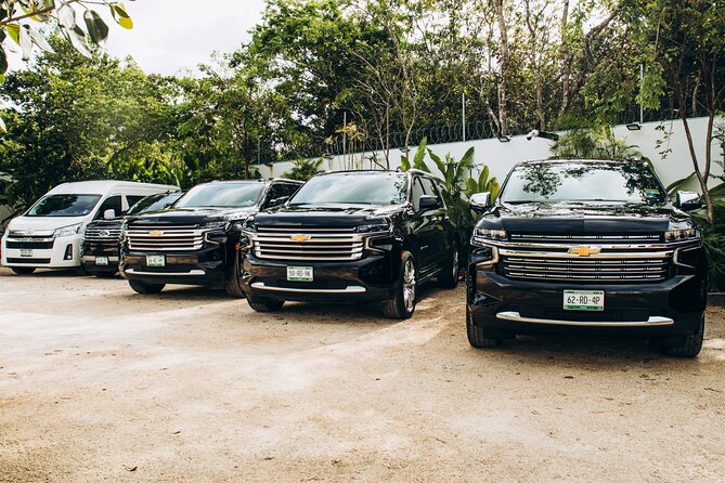 One Way Private Transfer Cancun Int Airport - Playa del Carmen - Key Things I’d Watch For
